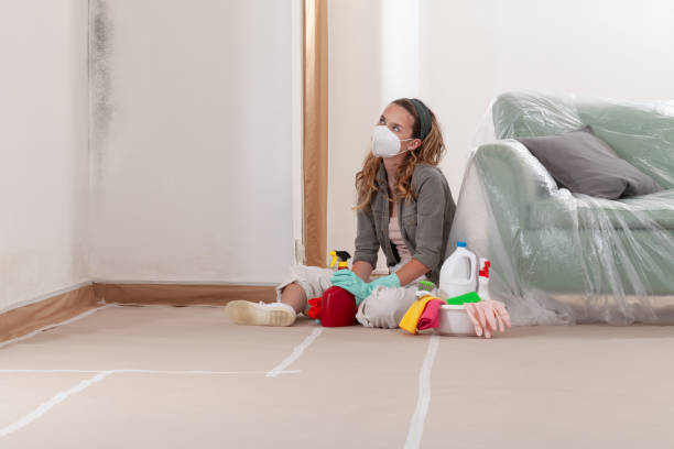 Reliable Mold Remediation contractor in Reston, VA by Cheap Mold Removal